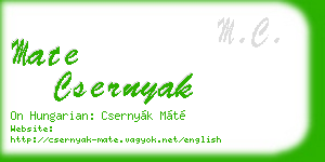 mate csernyak business card