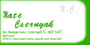 mate csernyak business card